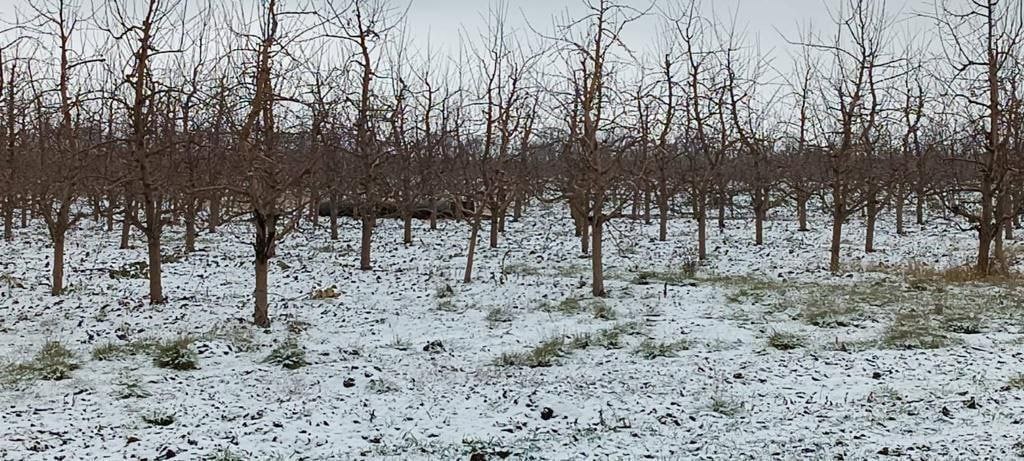 На территории Молдовы упала ракета